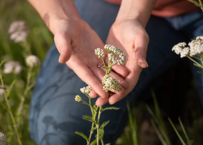 students holding flowers in a field