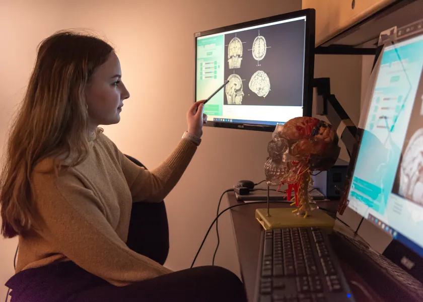 student studying scans of a human brain